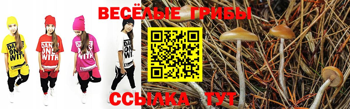 Псилоцибиновые грибы Magic Shrooms  что такое наркотик  Кудрово  Вход с VPN 